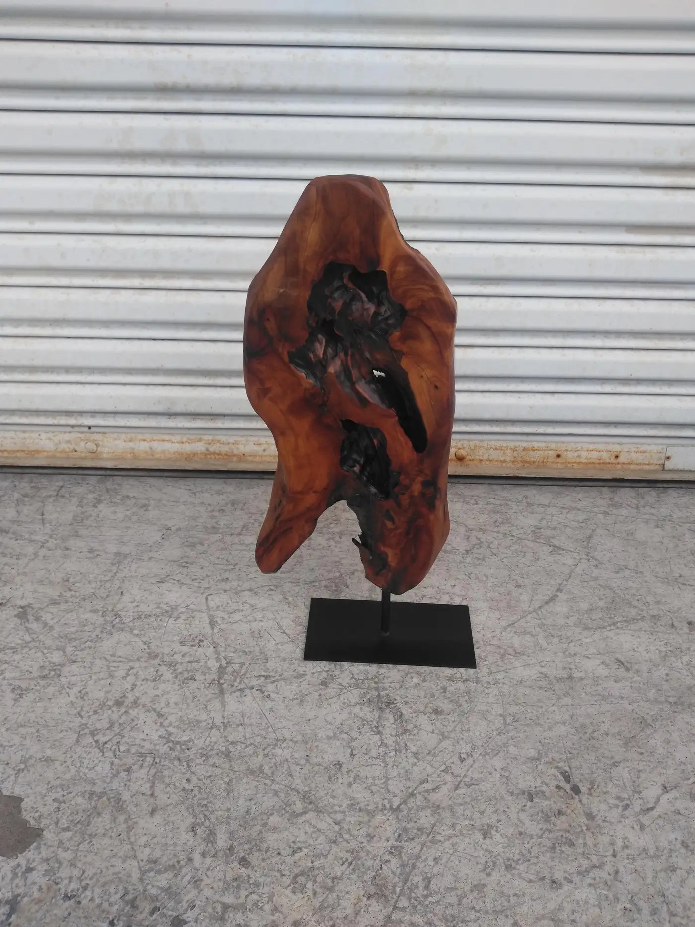 Natural Abstract Burl wood Sculpture on Metal Stand