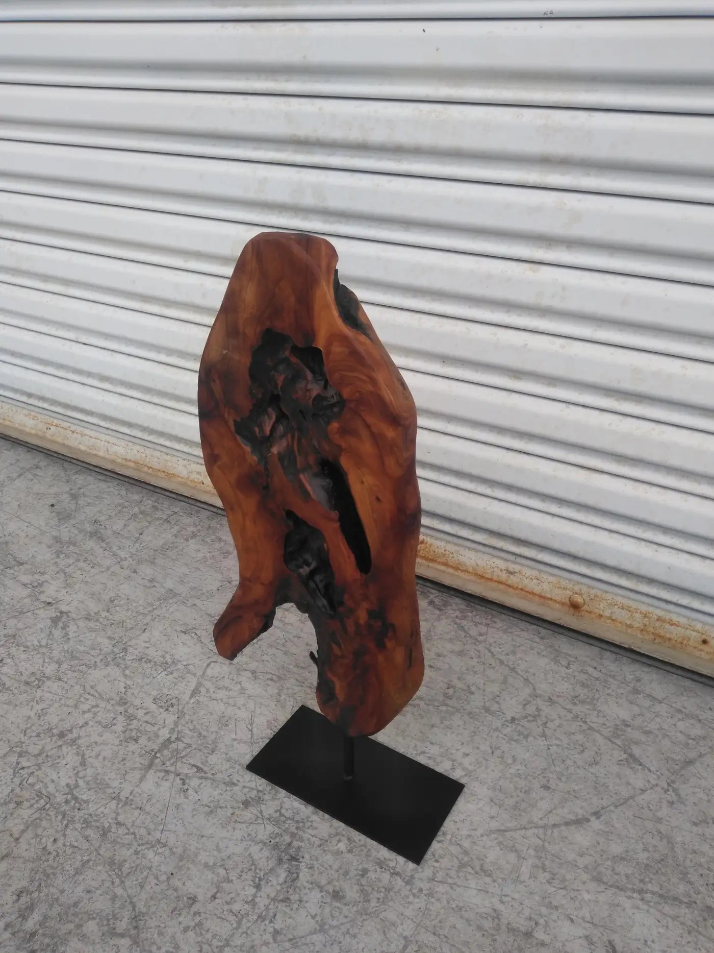 Natural Abstract Burl wood Sculpture on Metal Stand