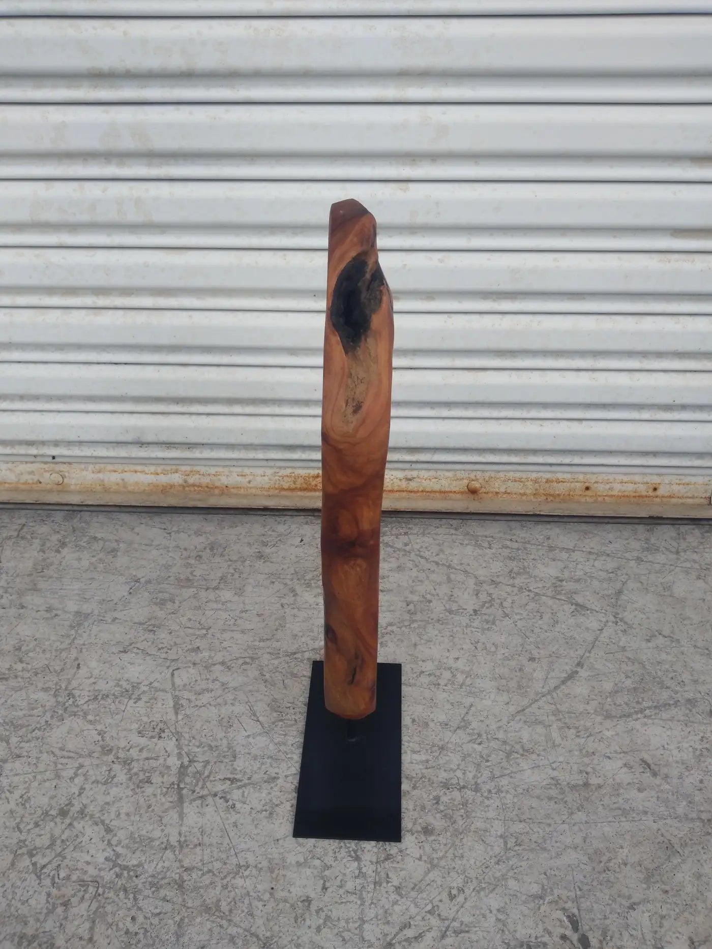 Natural Abstract Burl wood Sculpture on Metal Stand