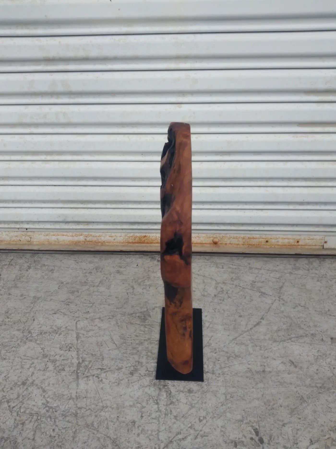 Natural Abstract Burl wood Sculpture on Metal Stand