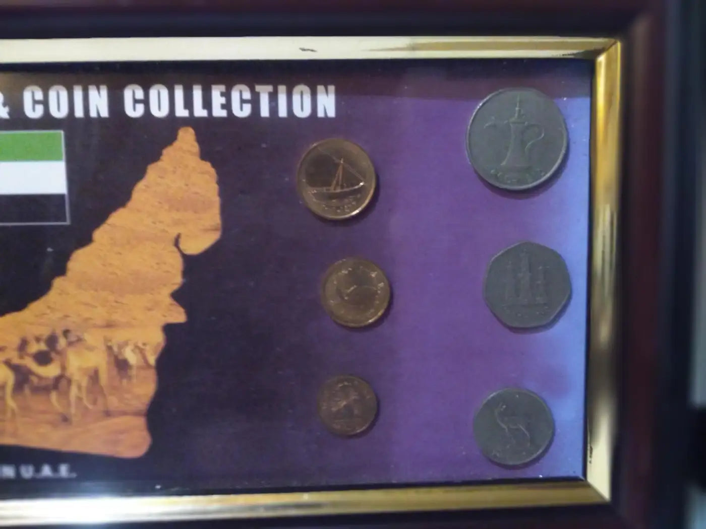 12 coin UAE collectible set with national symbols