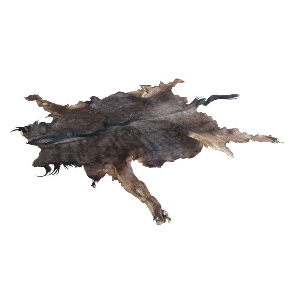 6.5x7.5 ft water buffalo hide rug tanned leather with hair