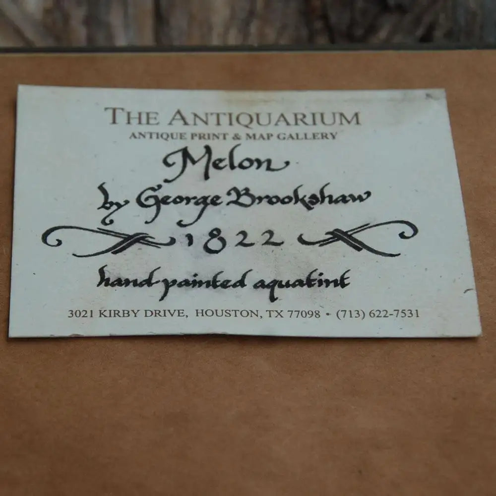 Collectible George Brookshaw vintage botanical print