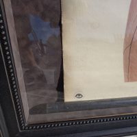 Pair of framed anatomy scrolls showcasing detailed human anatomy