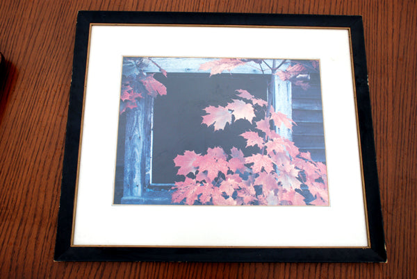 18x21 Open Window Tree Print 1978 framed art