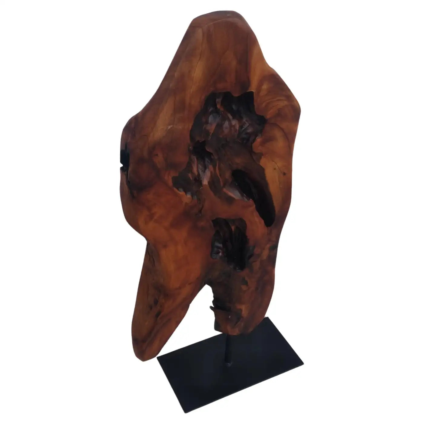 Natural Abstract Burl wood Sculpture on Metal Stand