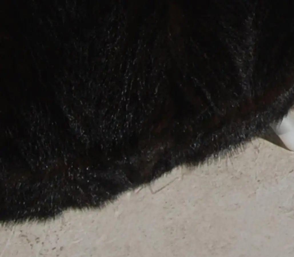 Allermuir stool with modern design