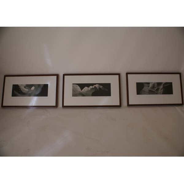 Original Gary Faye framed panoramic photograph set showcasing vintage panoramic views.