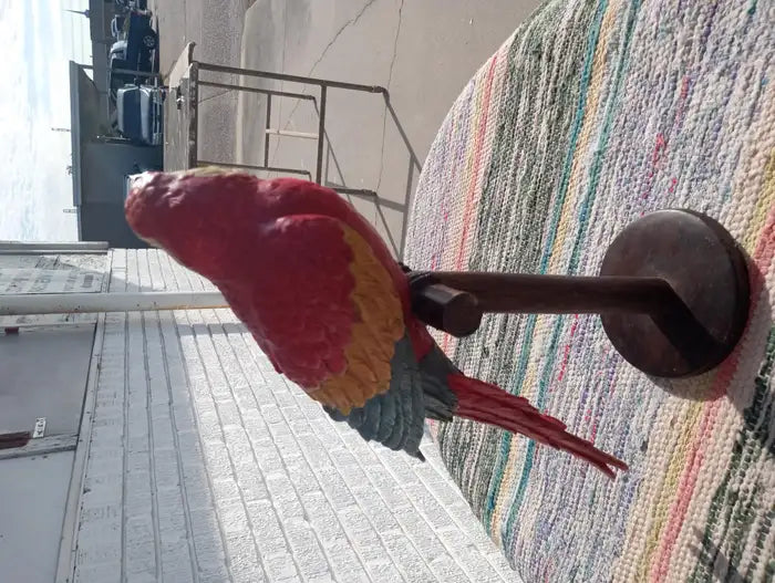 Hand Painted Parrot
