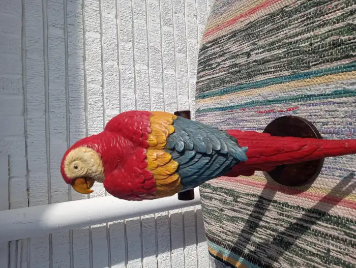 Hand Painted Parrot