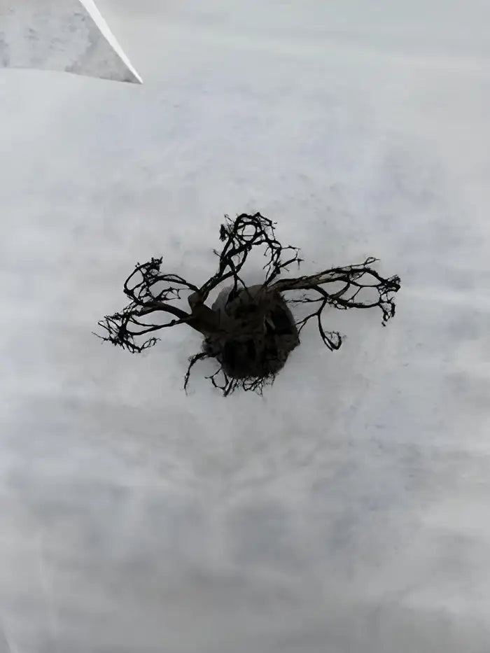 Wire tree of life medal sculpture