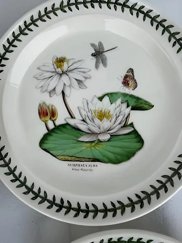 Lot of six portmeirion plates exotic botanic garden