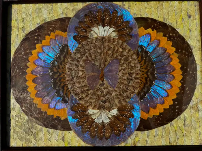 1940s Brazilian inlay tray with real Morpho wings