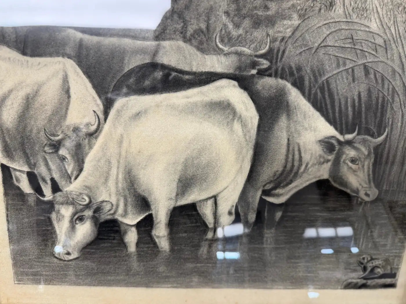 Antique landscape drawing with grazing cows, vintage pencil art