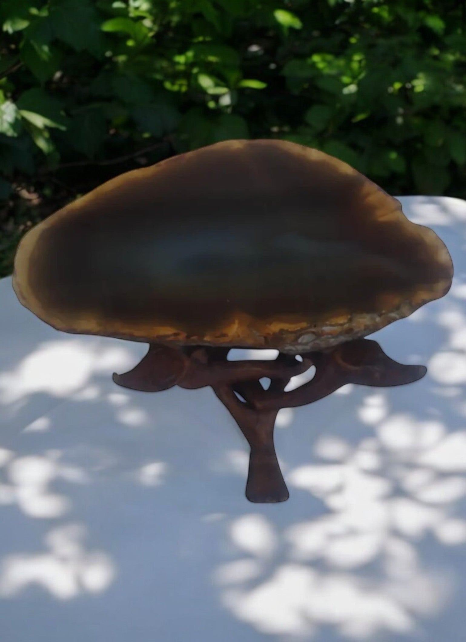 Brown agate geode crystal displayed on a wooden stand