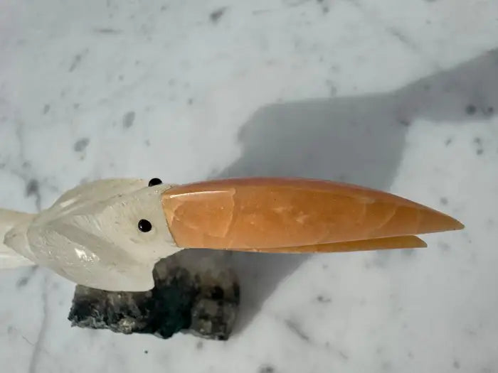 Quartz crystal toucan collectible mineral art