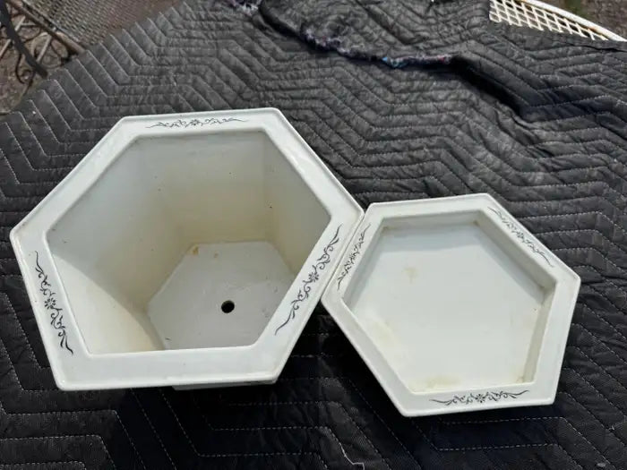 Decorative ceramic planter with tray for succulents
