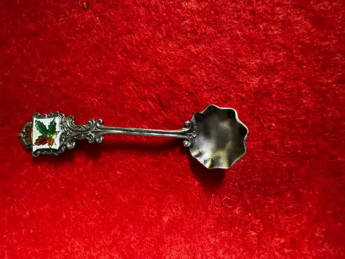 Collectible Canadian silver salt spoon