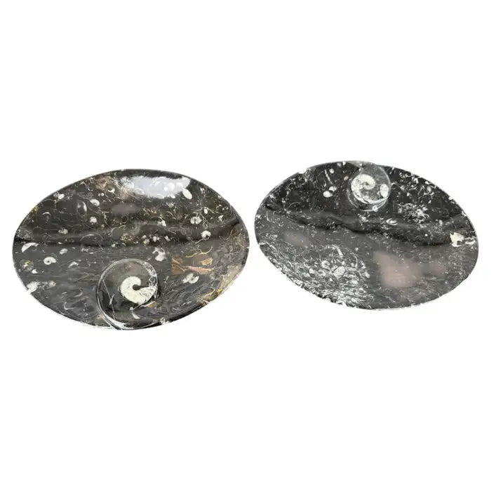 Moroccan granite nautilus bowls carved stone shell design