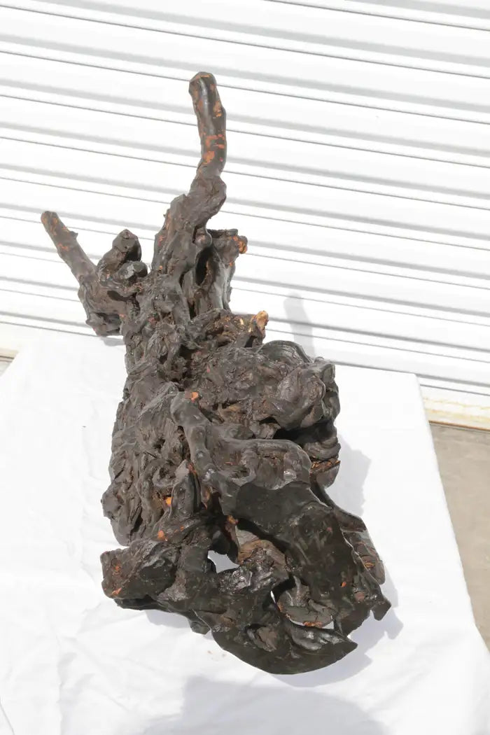 Brass Tree Stomp Base