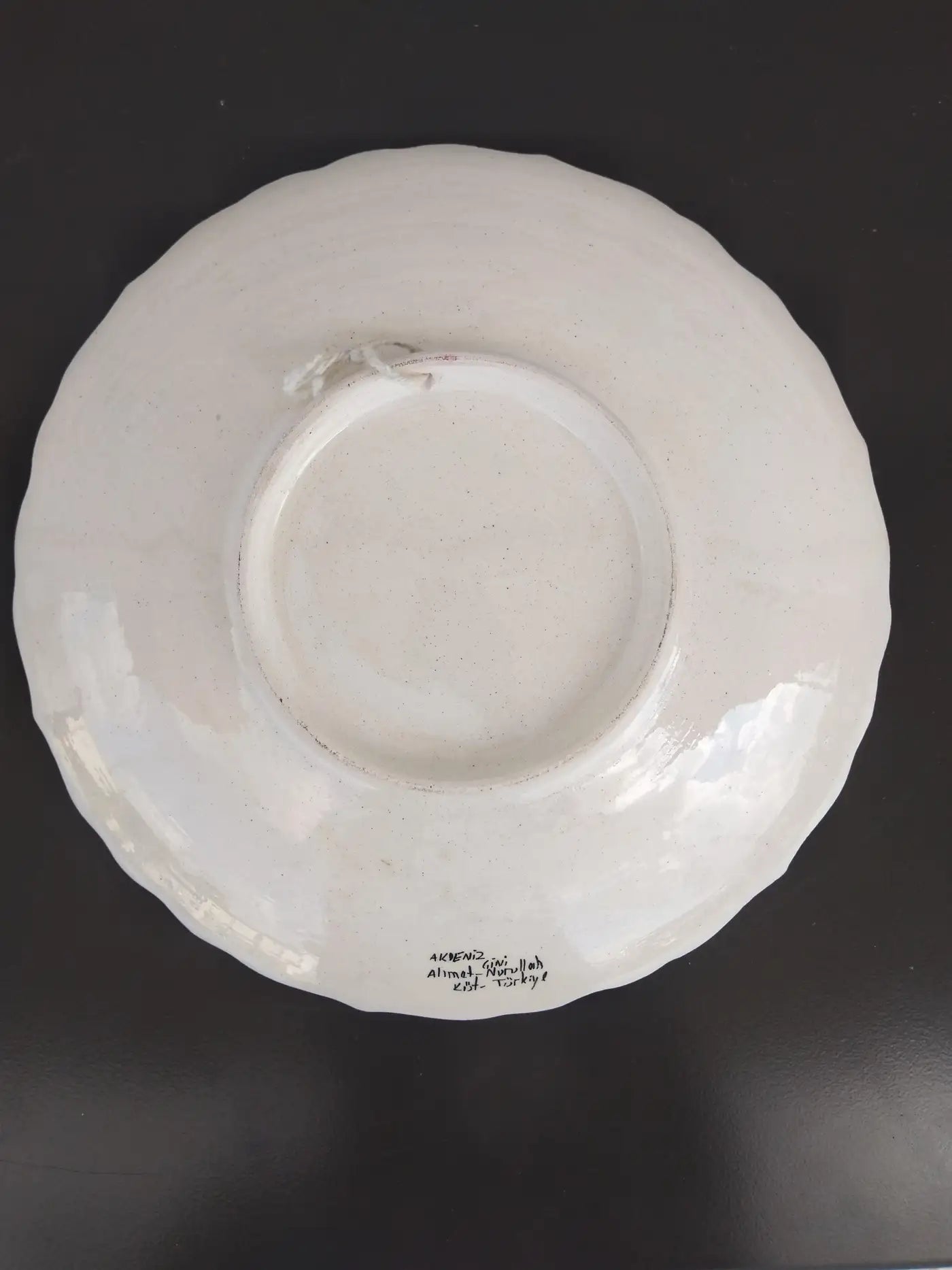 Gini Nurullah hand-painted plate