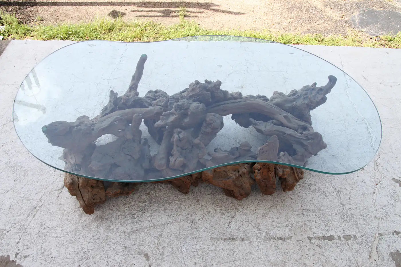 Artistic biomorphic tree root table with glass