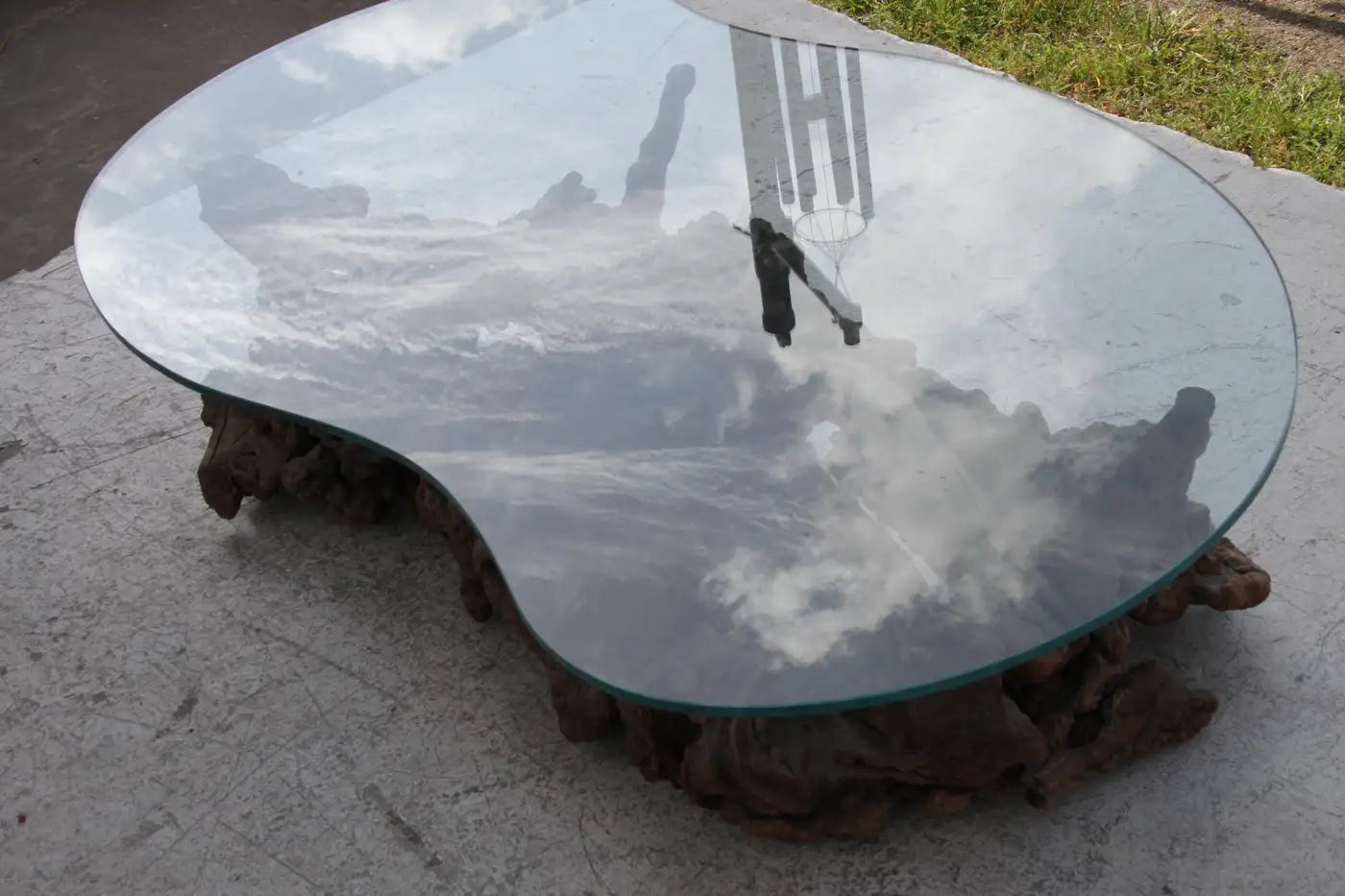 Modern organic design tree root coffee table