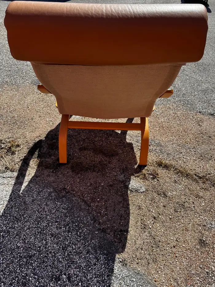 Collector bentwood armchair with minimalist silhouette