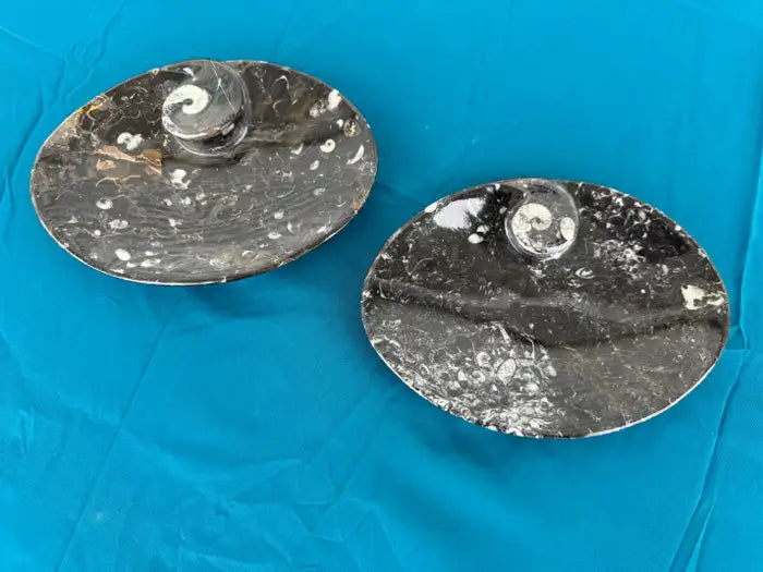 nautilus shaped stone bowls with granite veining