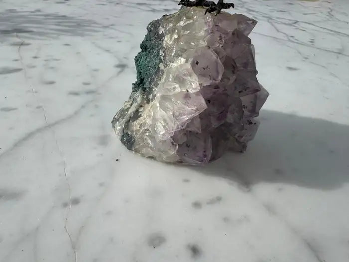 Amethyst cluster base carved quartz parrot