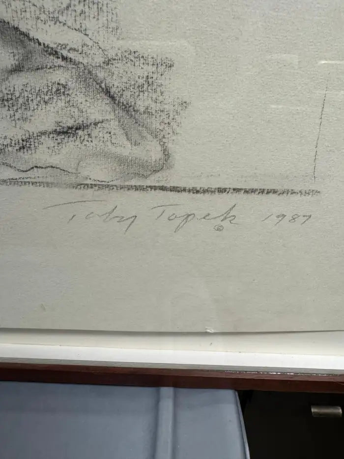 Hand drawn charcoal art featuring tonal contrast