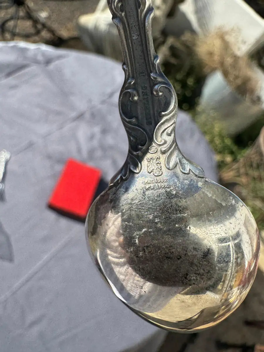 decorative silver spoon with engraved floral motif