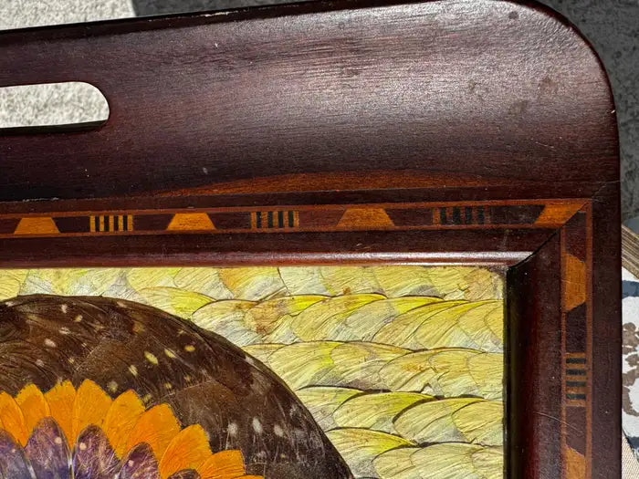 Natural butterfly wing art tray