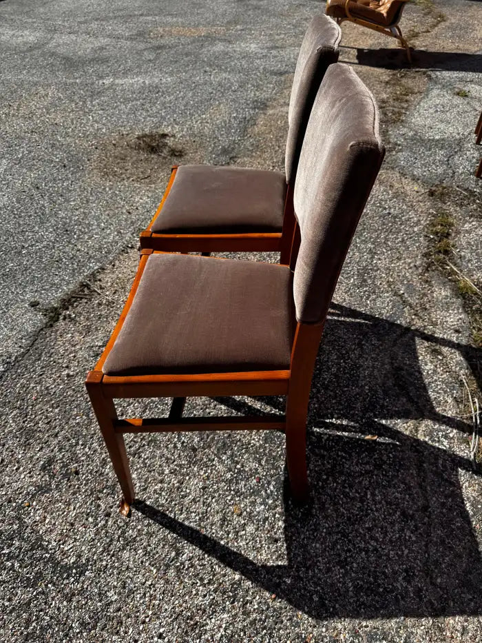 Teak wood dining chairs with plush velour upholstery