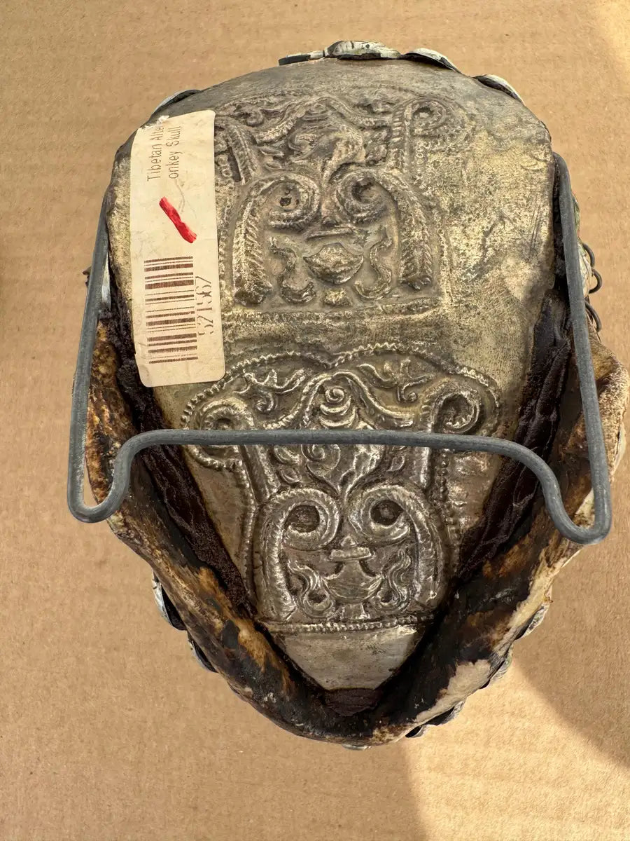 tribal skull decor with intricate carving and metal accents