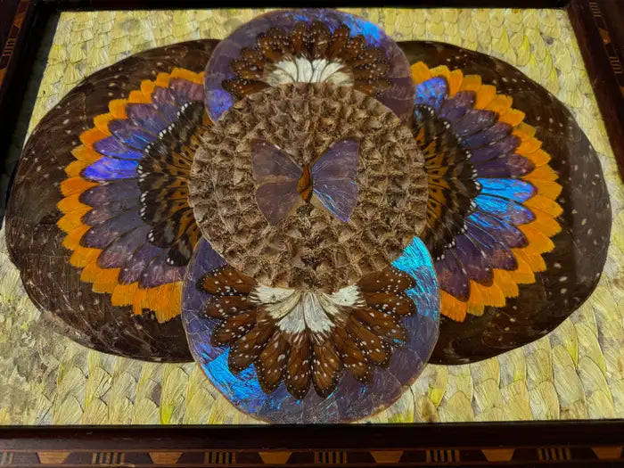 Vintage butterfly wing decorative tray