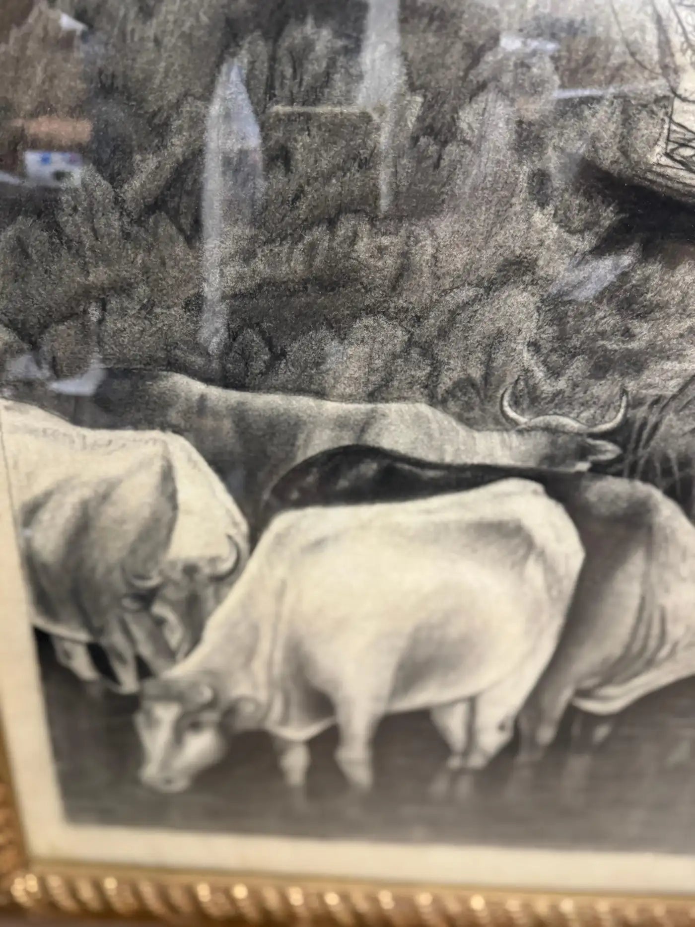 Farm landscape pencil drawing, heritage animal artwork