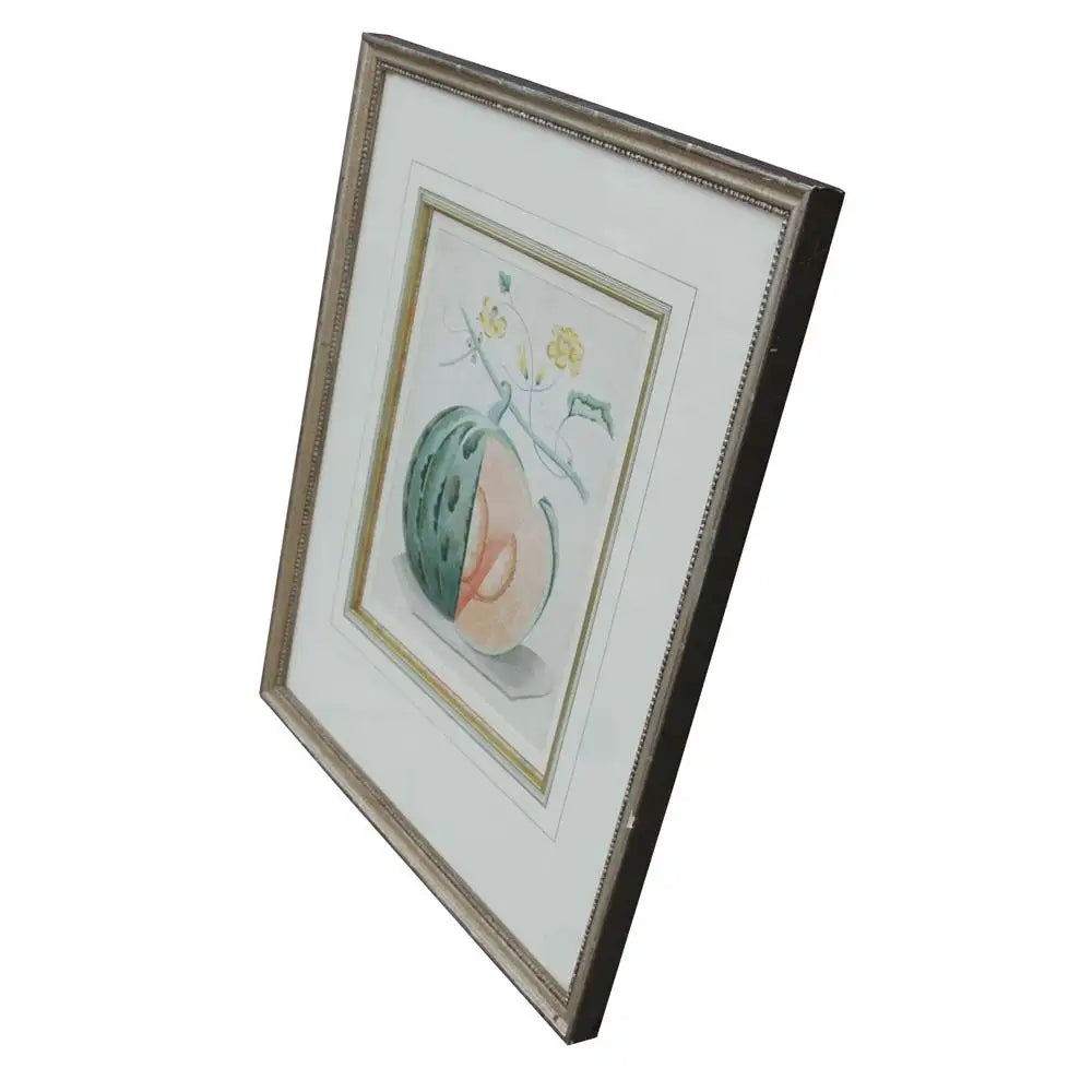 George Brookshaw Botanical Aquatint
