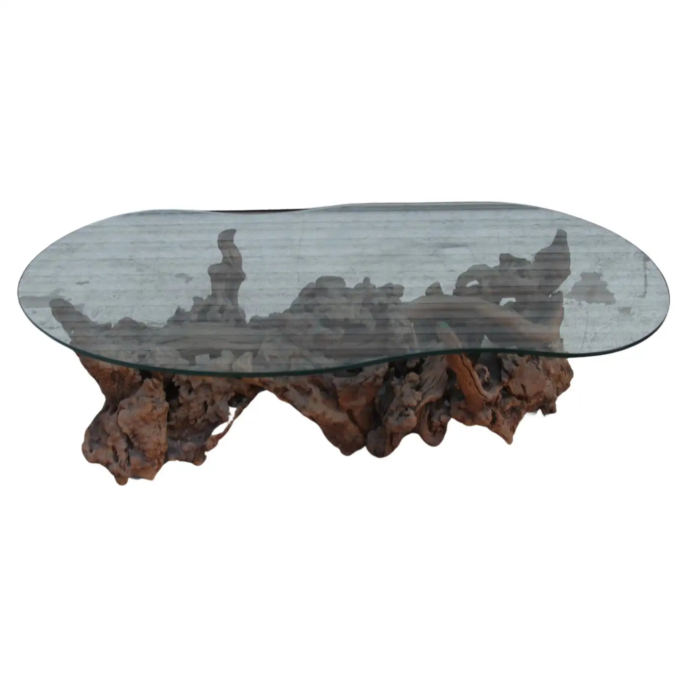 Biomorphic tree root coffee table with glass top
