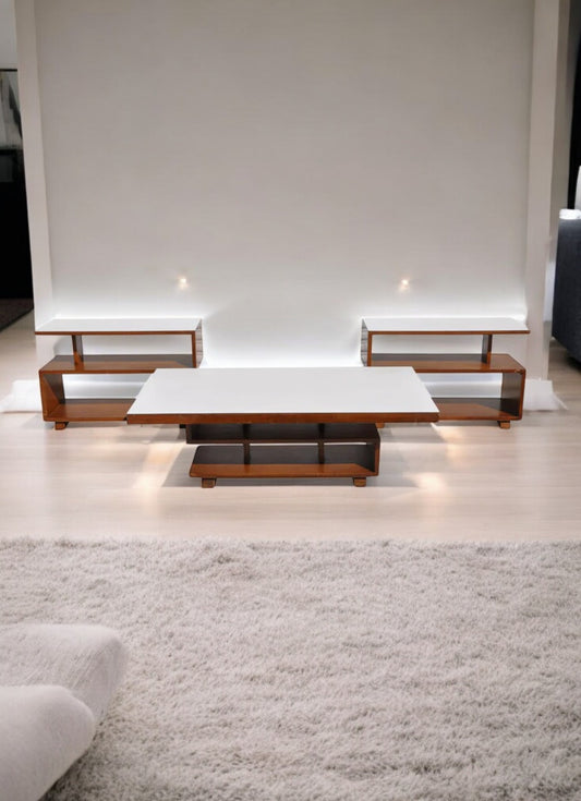 Vintage Mid Century Modern Coffee Table